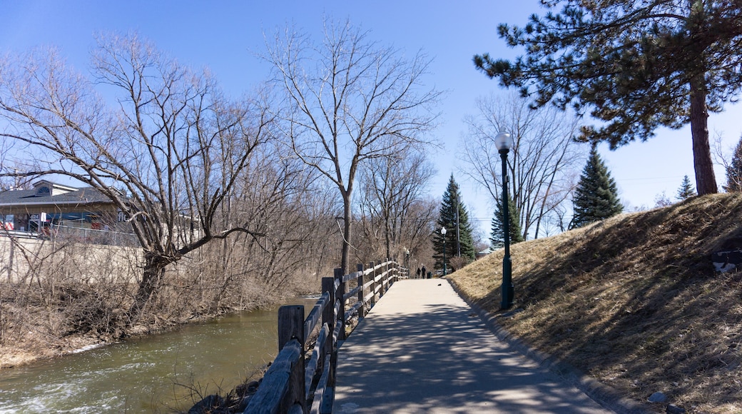 Footpath by Paint Creek in Rochester, Michigan