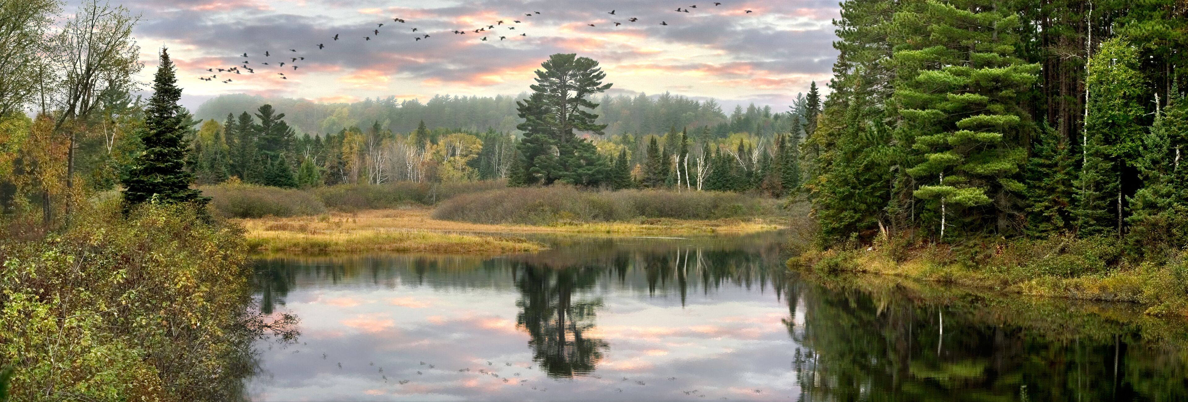 A calm lake surrounded by dense forests and a flock of birds flying overhead.