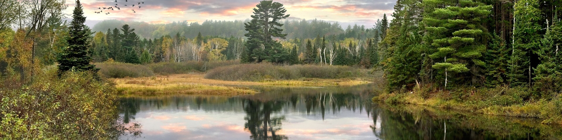 A calm lake surrounded by dense forests and a flock of birds flying overhead.