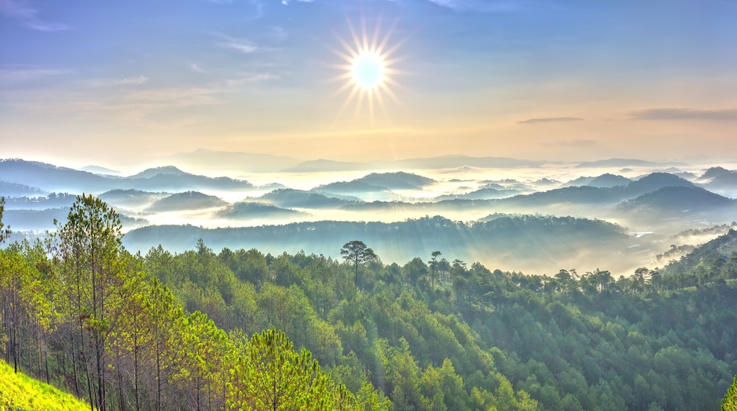 Panorama sunrise over hill with the sun radiating golden rays pierced the hills with pine trees covered with morning dew beautiful ray beam forming to welcome the new day so simple in Dalat, Vietnam