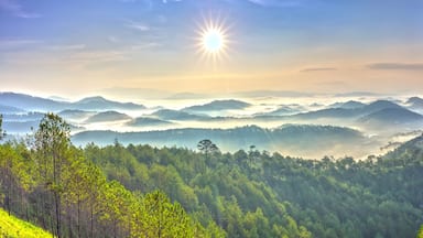 Panorama sunrise over hill with the sun radiating golden rays pierced the hills with pine trees covered with morning dew beautiful ray beam forming to welcome the new day so simple in Dalat, Vietnam