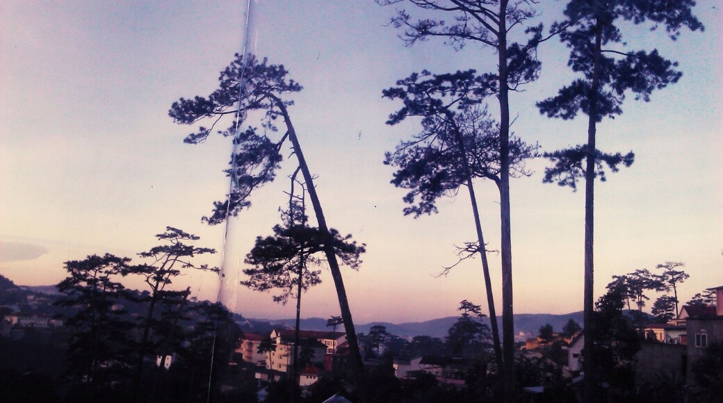 A morning in Đà Lạt City, Việt Nam, i woke up at 5:30am and couldnt sleep again, a peaceful feeling that i have ever spent..