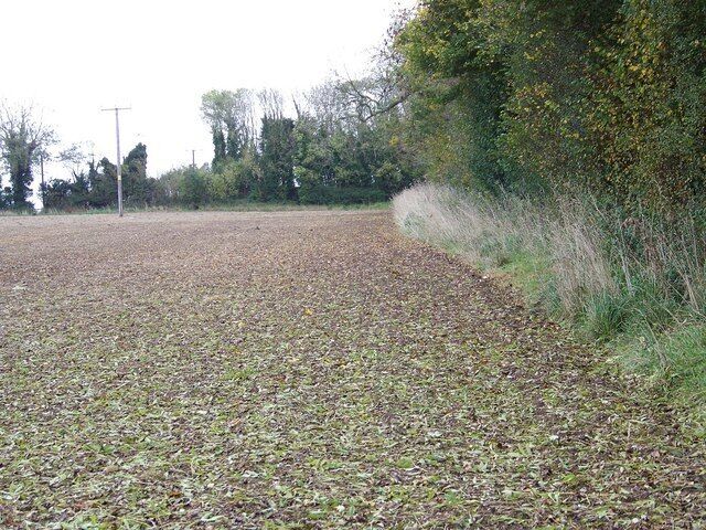 Footpath near Tarrant Gunville The field has been ploughed right to the headland and is part of the Jubilee Trail.