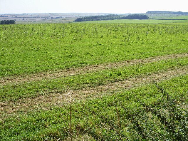 Launceston Down (2) This is a view to the east from a bridleway across Launceston Down.
