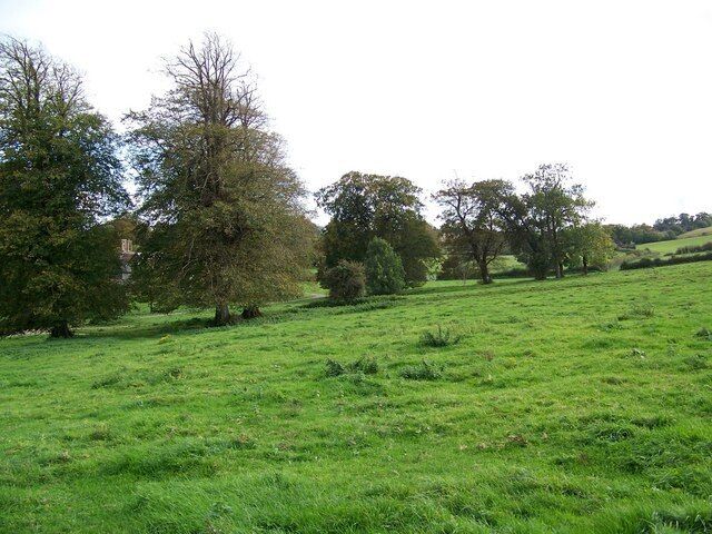 Pasture near Milborne St Andrew The view south from the churchyard of St Andrews Church.
