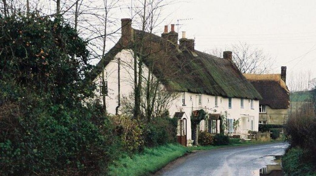 Winterborne Whitechurch: Lower Street