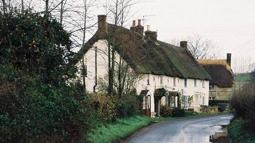 Winterborne Whitechurch: Lower Street