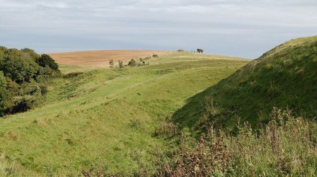 Hambledon Hill, Dorset