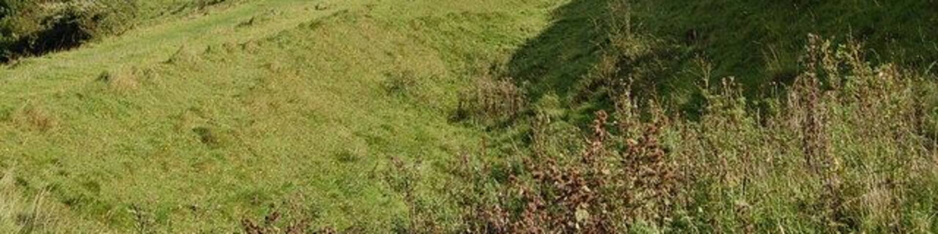 Hambledon Hill, Dorset