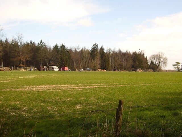 Small scale logging Small scale forestry site. Stacks of wood and equipment to move and cut trees.