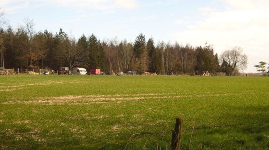 Small scale logging Small scale forestry site. Stacks of wood and equipment to move and cut trees.