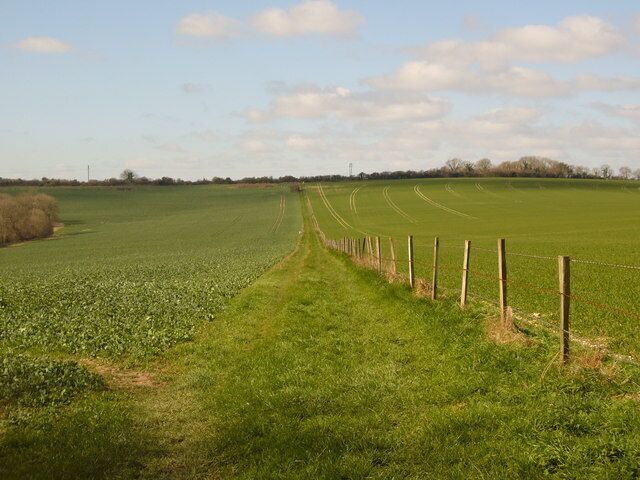 A rural landscape with a fenced field, a dirt path, and a distant tree line under a partly cloudy sky.