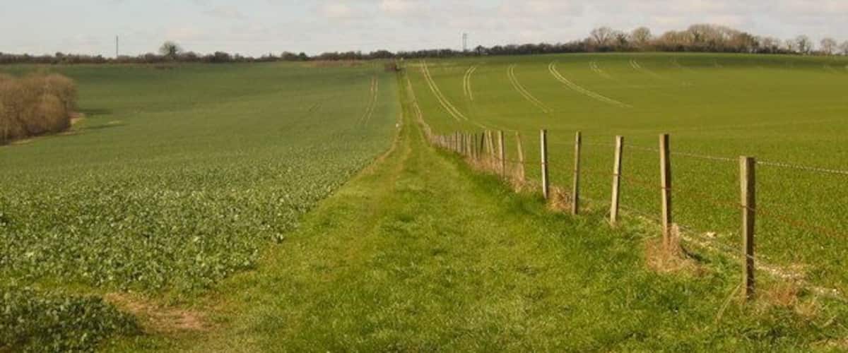 A rural landscape with a fenced field, a dirt path, and a distant tree line under a partly cloudy sky.