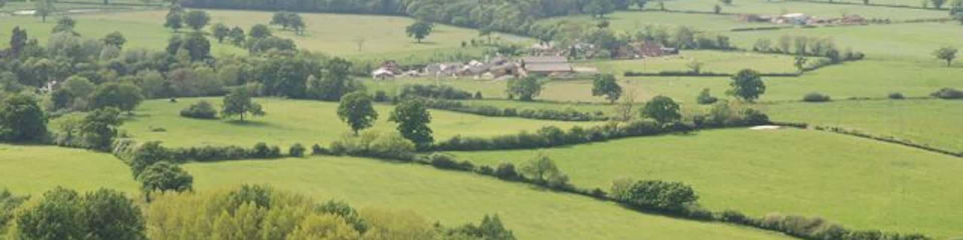 View from Ibberton Hill