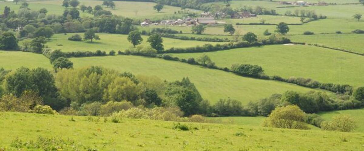 Rolling green hills, scattered trees, and a small village in the distance.