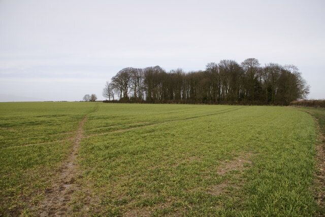 Footpath The footpath runs from Winterborne Kingston to Muston Down.