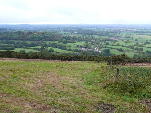 Chitcombe Down View north west down the steep slopes of Chitcombe Down above Woolland Village.