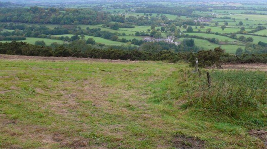 Chitcombe Down View north west down the steep slopes of Chitcombe Down above Woolland Village.