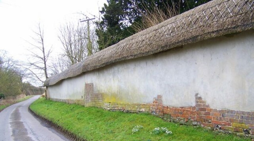 Thatched wall, Minchington Thatched wall beside the Minchington to Gussage St Andrew lane.