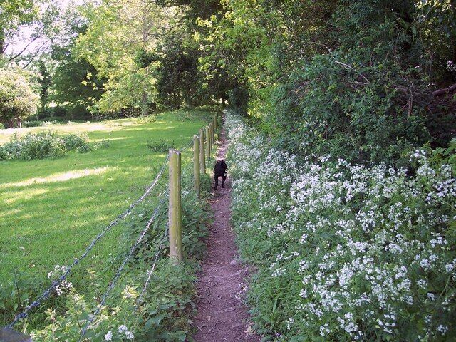 Bridleway near Minchington