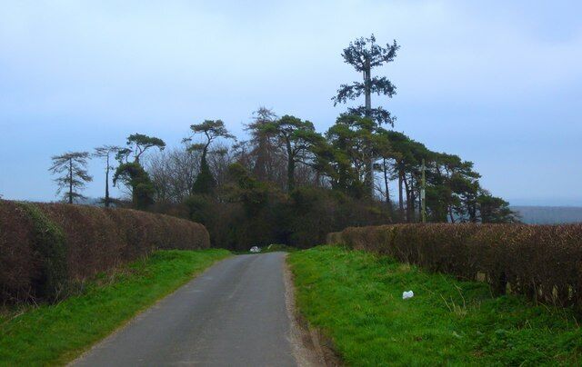 Spot the Communication mast Apart from its extra 30 feet the communication mast is well disguised amongst pines on this triangular junction. However my mobile phone received no signal from this position.