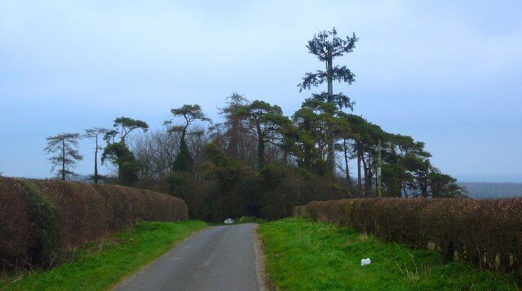 Spot the Communication mast Apart from its extra 30 feet the communication mast is well disguised amongst pines on this triangular junction. However my mobile phone received no signal from this position.