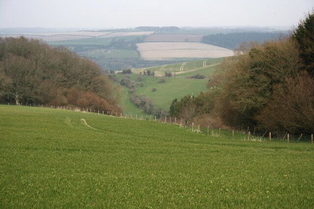 Near Websley Farm View down through the trees from Websley towards Durweston