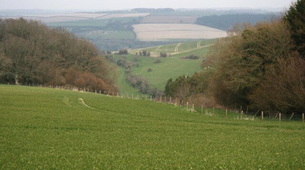 Near Websley Farm View down through the trees from Websley towards Durweston