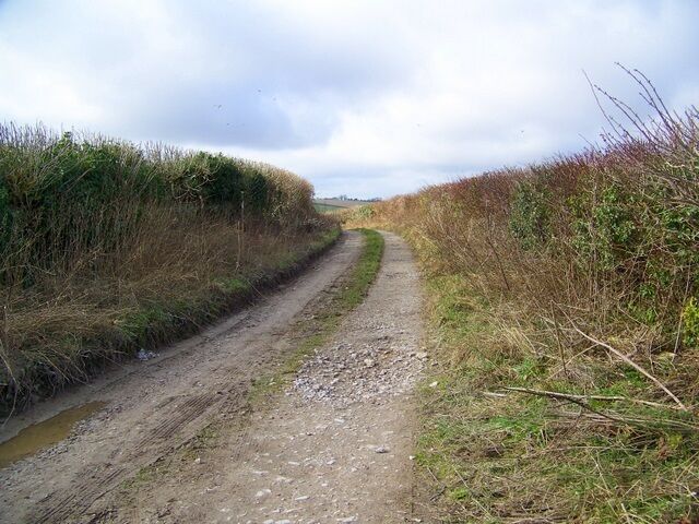 Snag Lane This bridleway eventually leads to Tolpuddle Common.