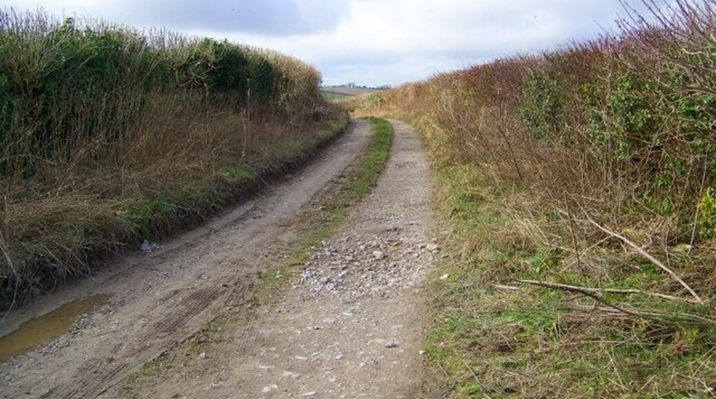 Snag Lane This bridleway eventually leads to Tolpuddle Common.
