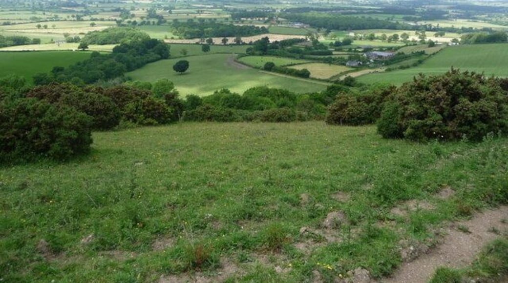 Woolland: slopes of Bulbarrow Hill Looking down from near the top of the lane south from Woolland.