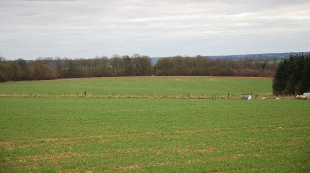 Monkton Common Lower