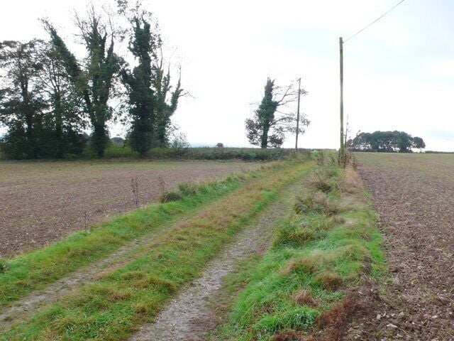 Paisaje rural con un camino de tierra, campos y árboles.