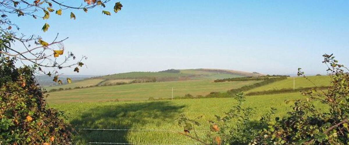 Farmland The field in the foreground shows winter sown crop growing well. The view is towards Hambledon Hill in ST8412