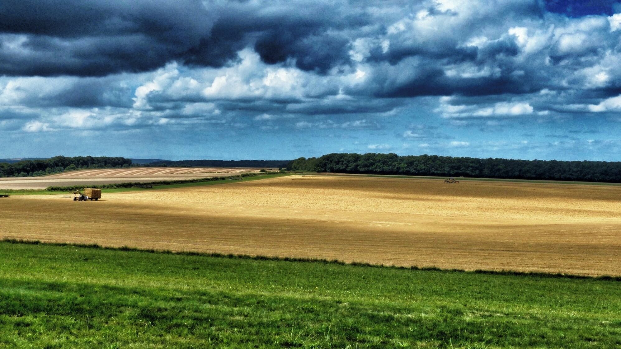 ...I enjoyed watching the local farmer harvesting the wheat at Badbury Rings today. Here is the scene - (over! ) processed in Snapseed for Mac.