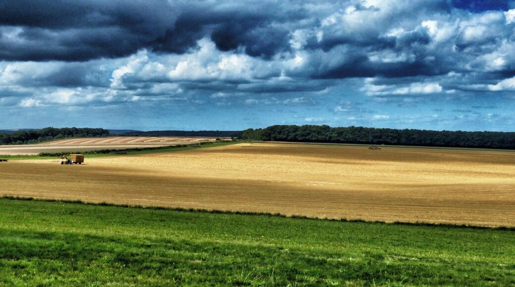...I enjoyed watching the local farmer harvesting the wheat at Badbury Rings today. Here is the scene - (over! ) processed in Snapseed for Mac.