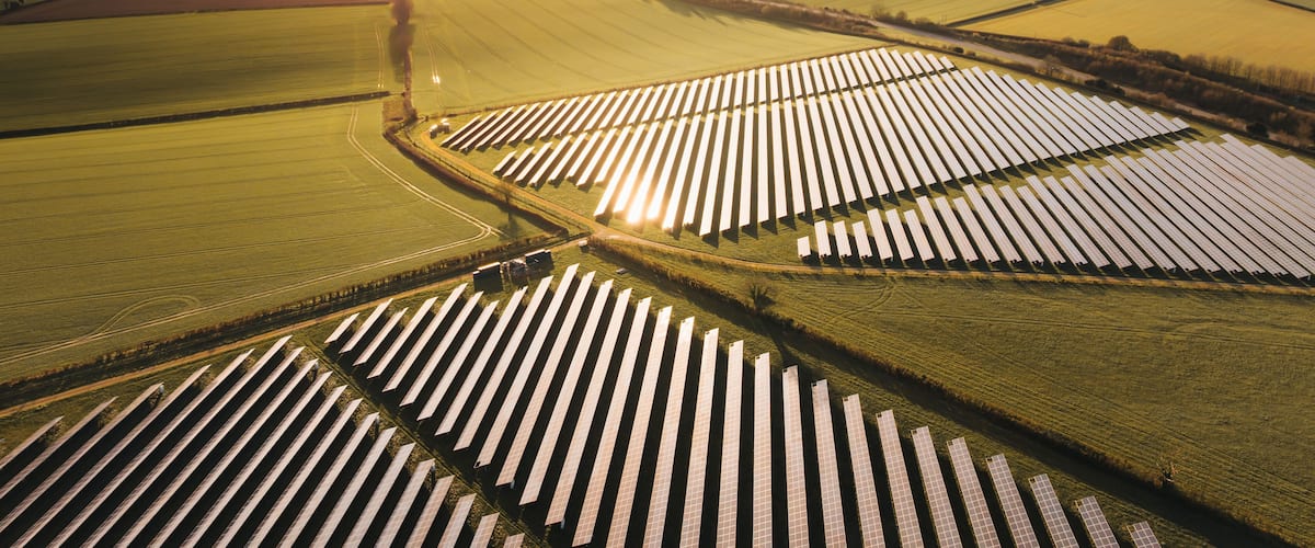 An aerial view of a solar farm with rows of solar panels.