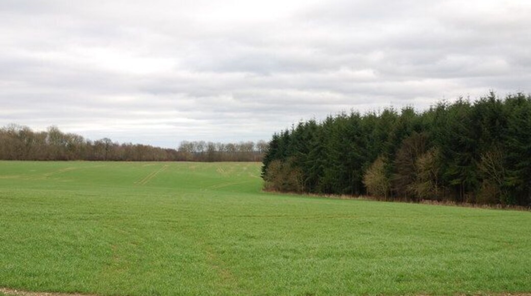 Monkton Common Lower bends around Weekley Coppice There are two parts to Weekley Coppice (both with the same name on the map). This is the eastern part. Between the two parts is Monkton Common Higher.
