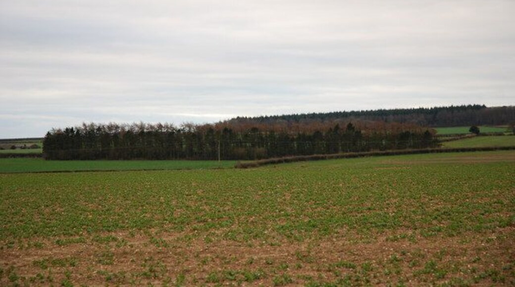 View across South Farm downland