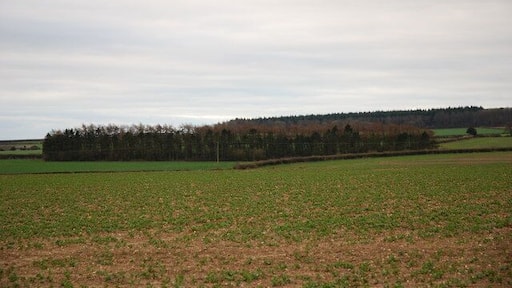 View across South Farm downland