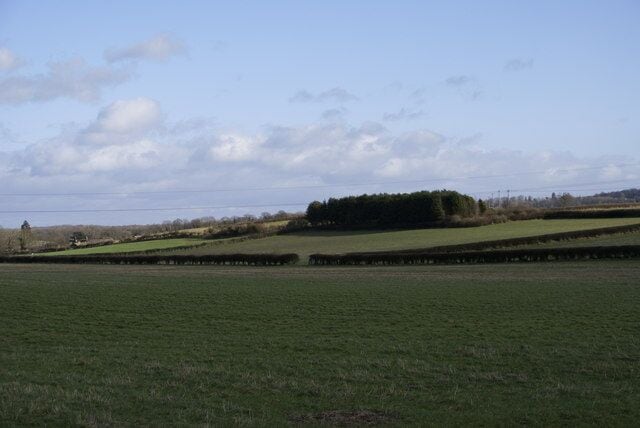 Looking towards Mapperton