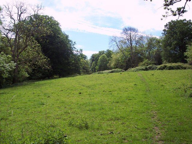 Bridleway across Turnworth Down Turnworth is a National Trust property.