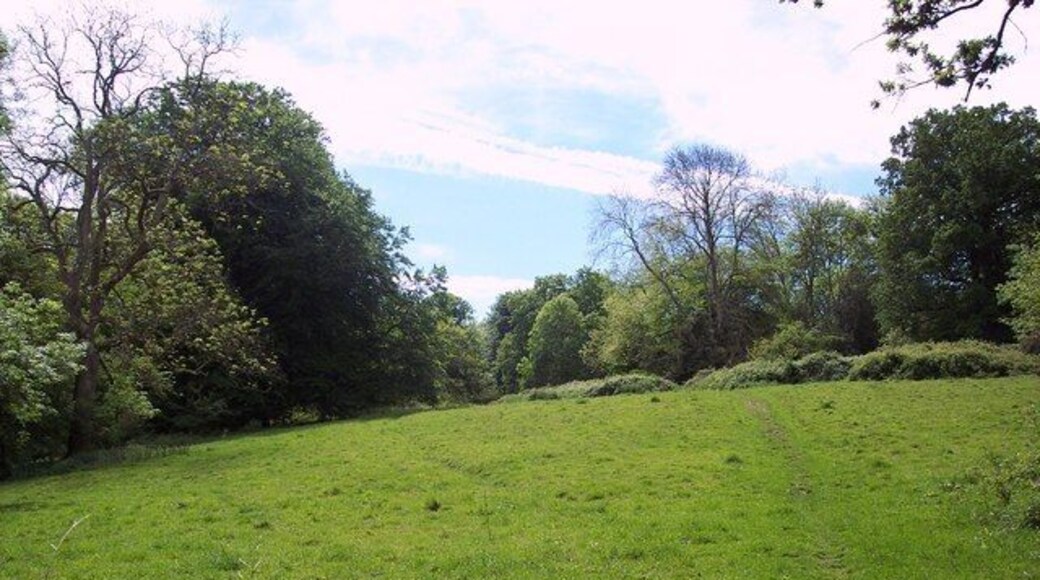 Bridleway across Turnworth Down Turnworth is a National Trust property.