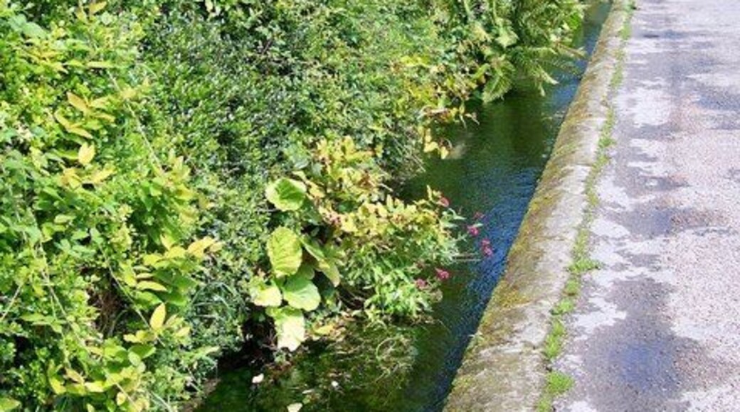 Roadside stream, Iwerne Minster Iwerne is an ancient British (Celtic) river-name, first recorded as Iwern broc in the mid-10th century but much older than that, probably meaning 'yew-tree stream'. Iwerne Minster is recorded as Evneminstre in the Domesday Book of 1086, but its first appearance is in a Saxon charter dated 871 where it is simply ywern or hywerna. The affix is Old English mynster '(church of) a monastery' with reference to the early possession of this estate by Shaftesbury Abbey.