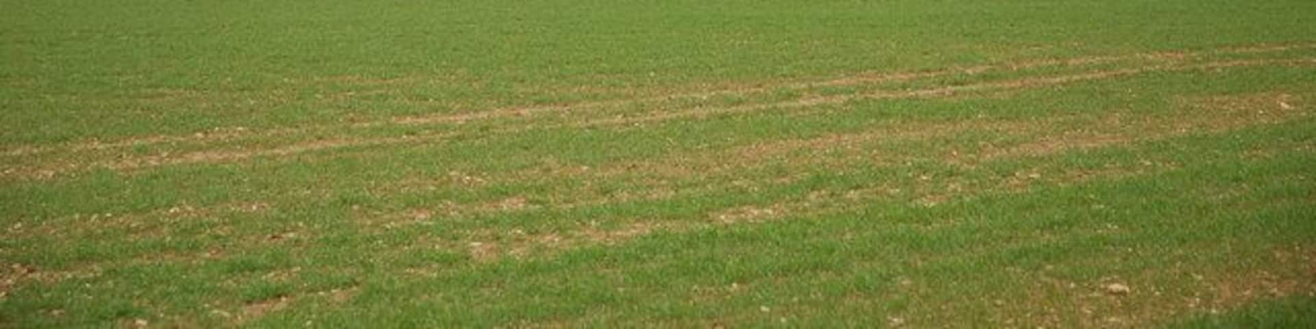 Monkton Common Lower - between the coppices Weekley Coppice (east) on the right and Chetterwood on the left.