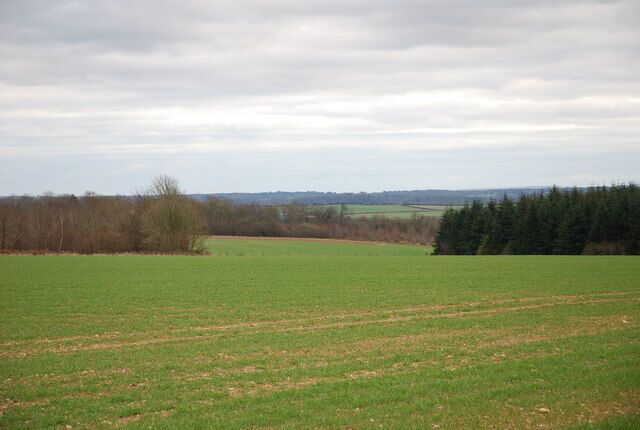 A green field with a line of trees in the distance and a cloudy sky.