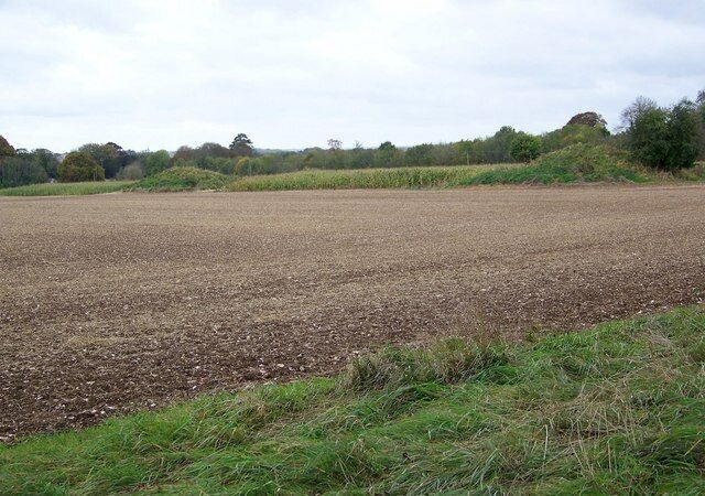 Solomon's Quarter Through the hedge from the footpath can be seen the curious parallel lines of regular grassy hummocks in Solomon's Quarter.