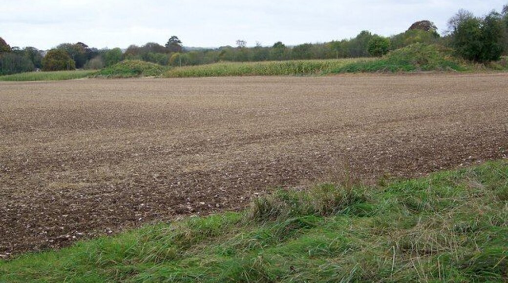 Solomon's Quarter Through the hedge from the footpath can be seen the curious parallel lines of regular grassy hummocks in Solomon's Quarter.