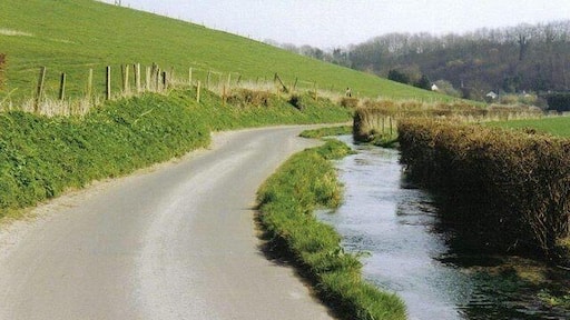 Winterborne Houghton: lane and stream The river Winterborne meanders down past Winterborne Houghton, the first of eight villages it will meet with 'Winterborne' in its name before it joins the Stour at Sturminster Marshall.