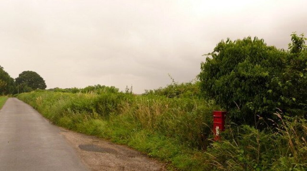Farnham: postbox โ DT11 78, Newtown This modern postbox is attached to a wooden post which has almost become a tree, so overgrown has it become. The box is emptied at noon each day, except Sunday.